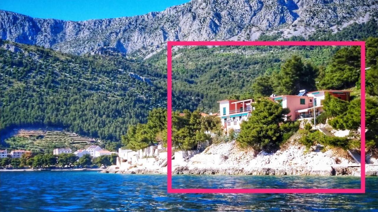 Apartments Gabriela Дрвеник Экстерьер фото